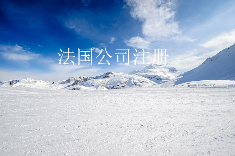 法国公司注册